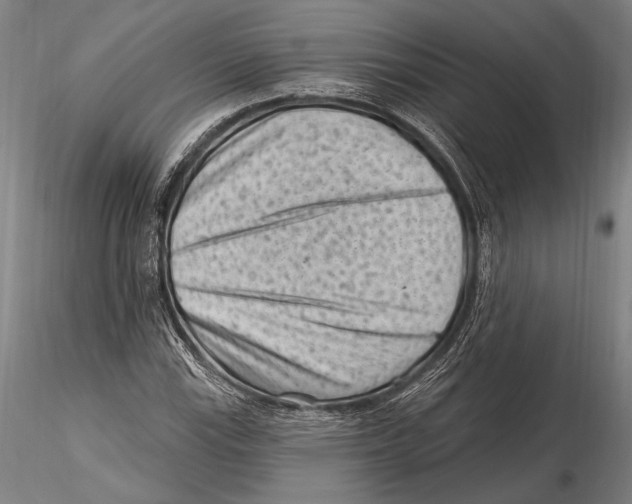 X0000115381115200912011159