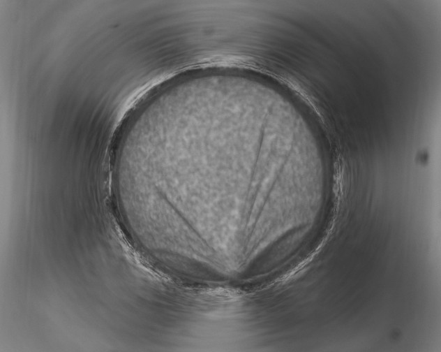 X0000115381117200912011159