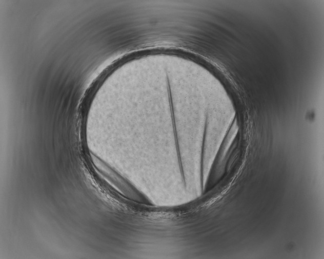 X0000115381118200912011159