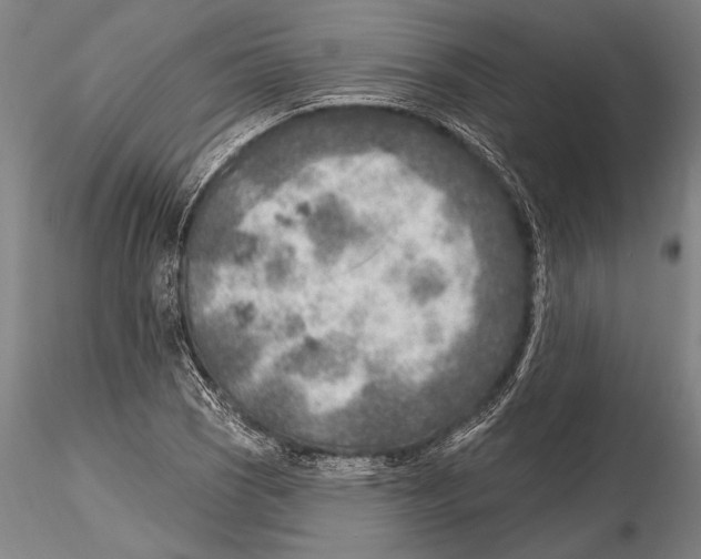 X0000115381121200912011159