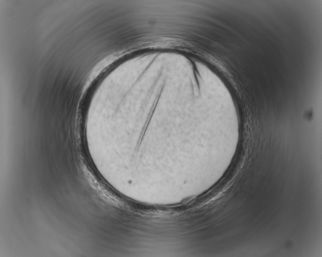 X0000115381122200912011159