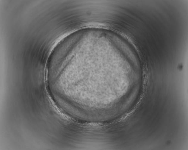 X0000115381125200912011159