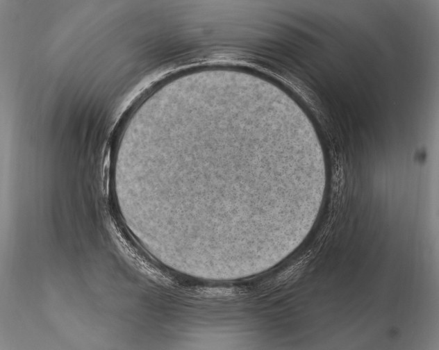 X0000115381126200912011159