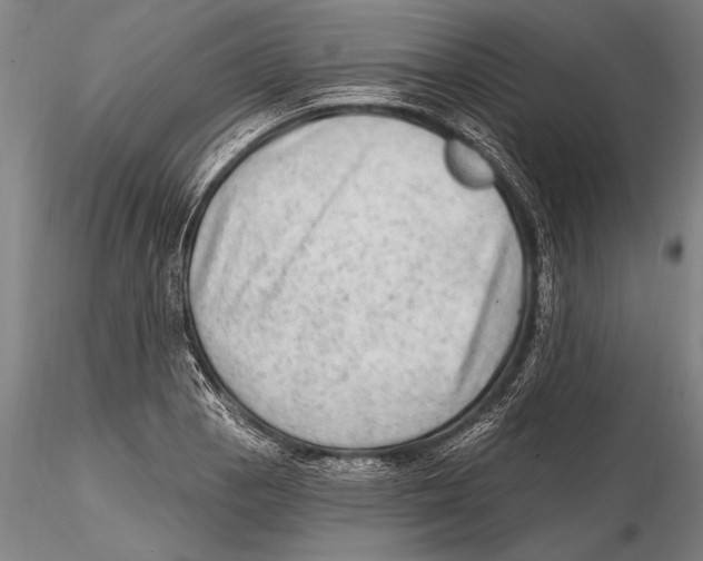 X0000115381129200912011159