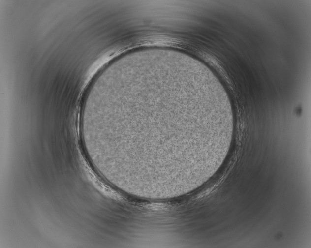 X0000115381130200912011159