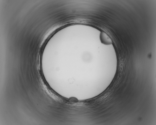 X0000115381131200912011159