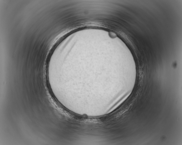 X0000115381133200912011159