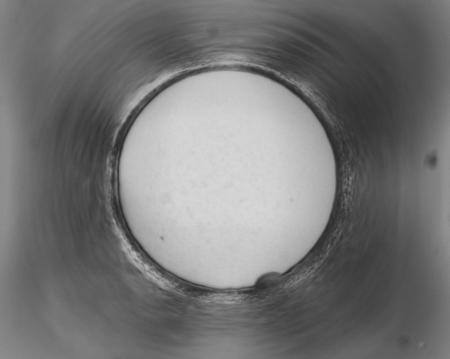 X0000115381134200912011159