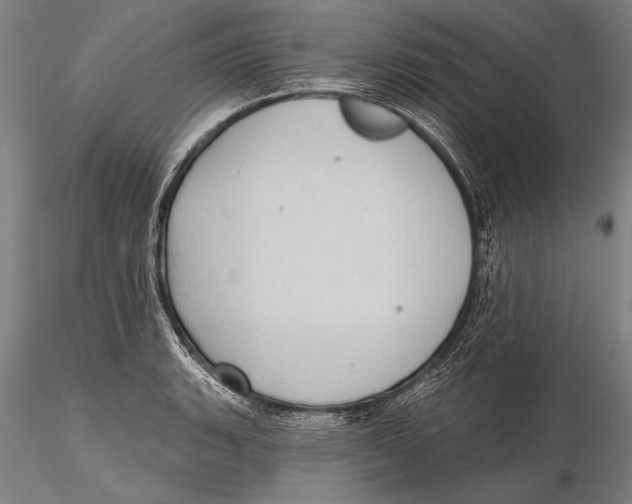 X0000115381135200912011159