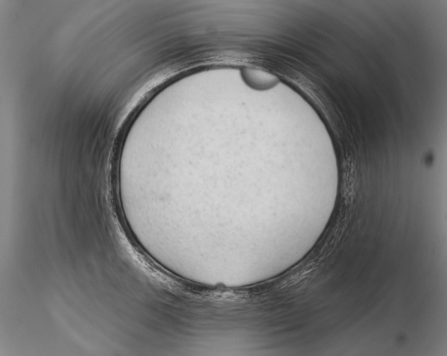 X0000115381139200912011159