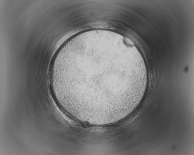 X0000115381141200912011159