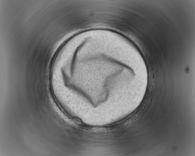 X0000115381142200912011159