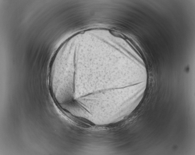 X0000115381143200912011159