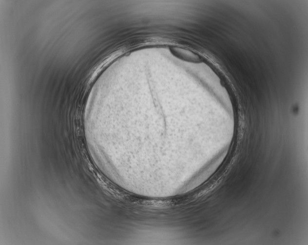 X0000115381145200912011159