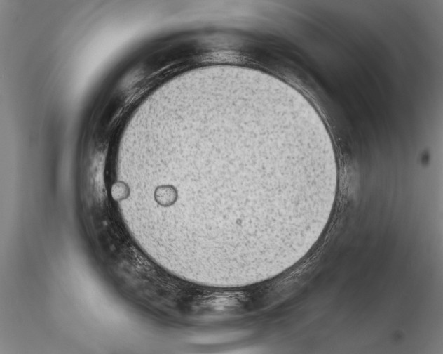 X0000115381150200912011159