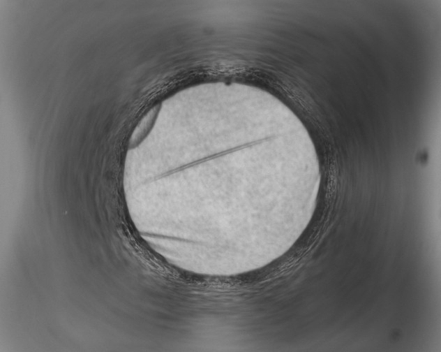 X0000115381153200912011158