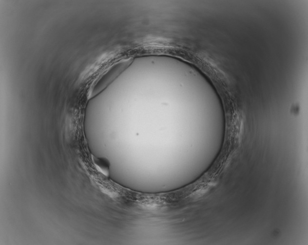 X0000115381157200912011158