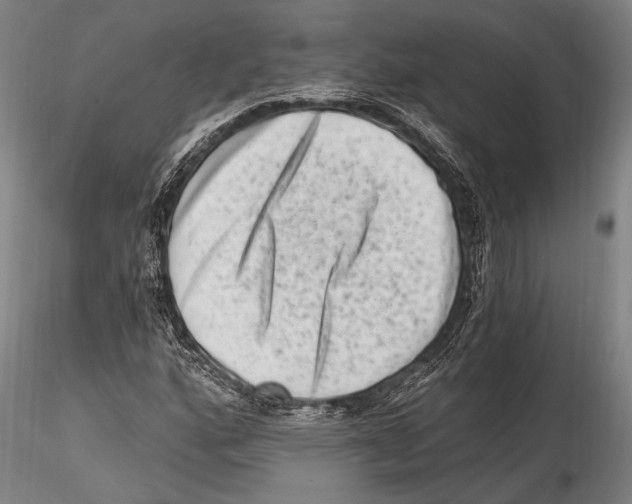 X0000115381160200912011158