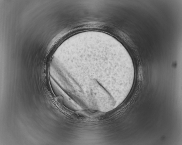 X0000115381164200912011158