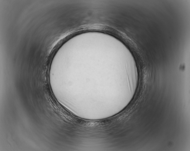 X0000115381166200912011158