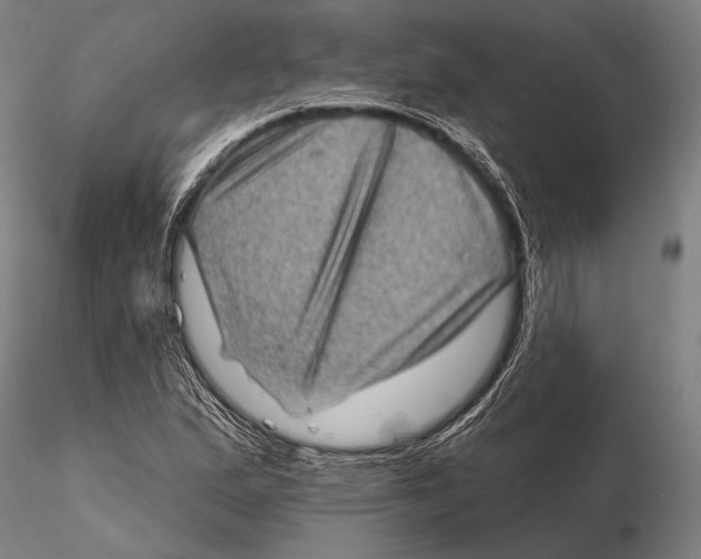 X0000115381167200912011158