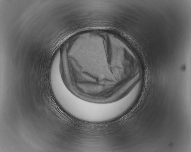 X0000115381169200912011158