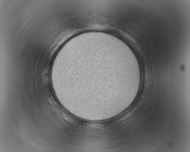 X0000115381170200912011158