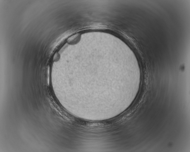 X0000115381171200912011158