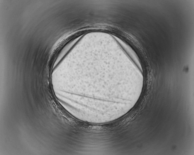 X0000115381172200912011158