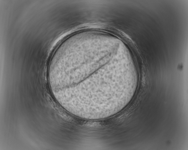 X0000115381174200912011158