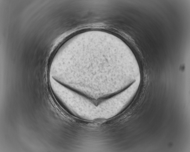 X0000115381176200912011158