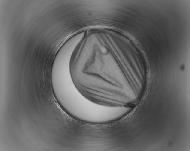 X0000115381185200912011158