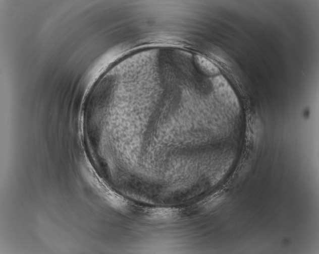 X0000115381188200912011158