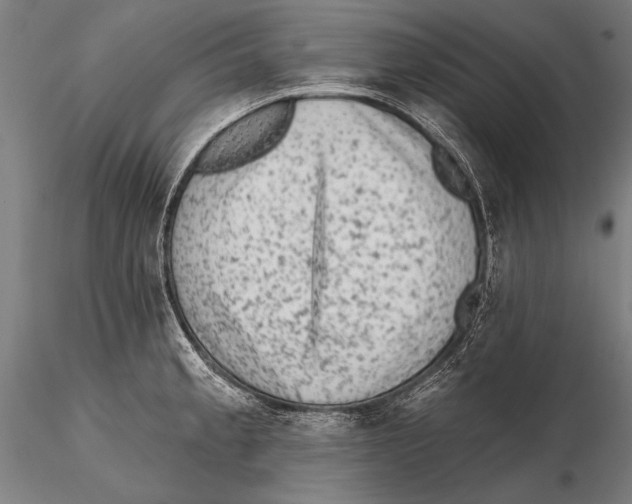 X0000115381189200912011158