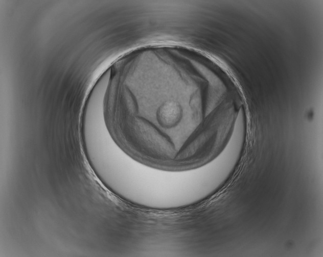 X0000115381191200912011158