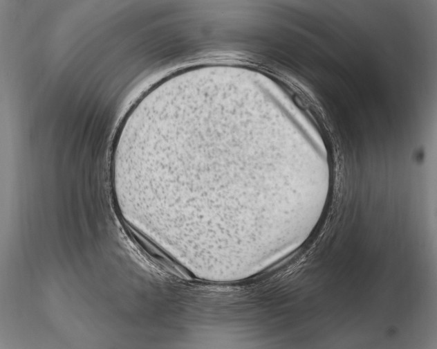 X0000115381192200912011158