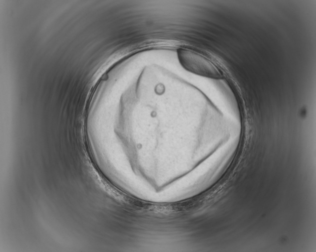 X0000115381194200912011158