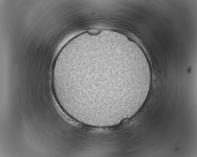 X0000115381195200912011158