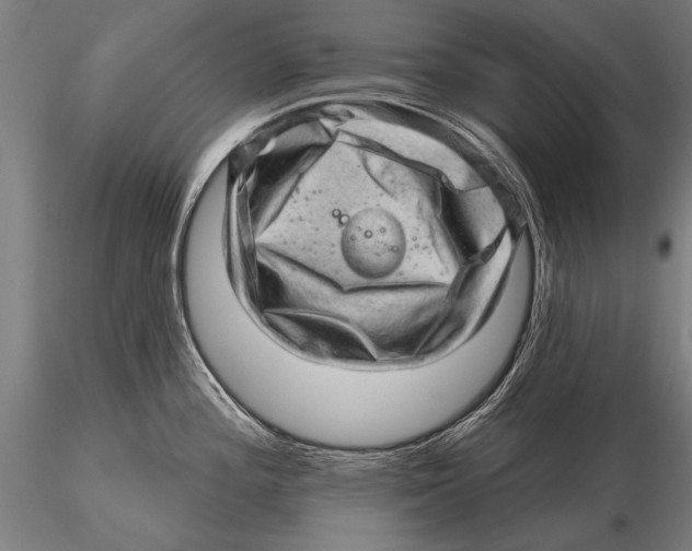 X0000115381196200912011158