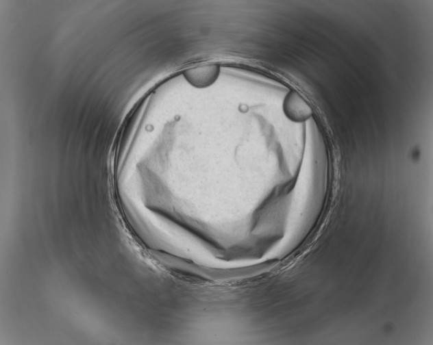 X0000115381198200912011158