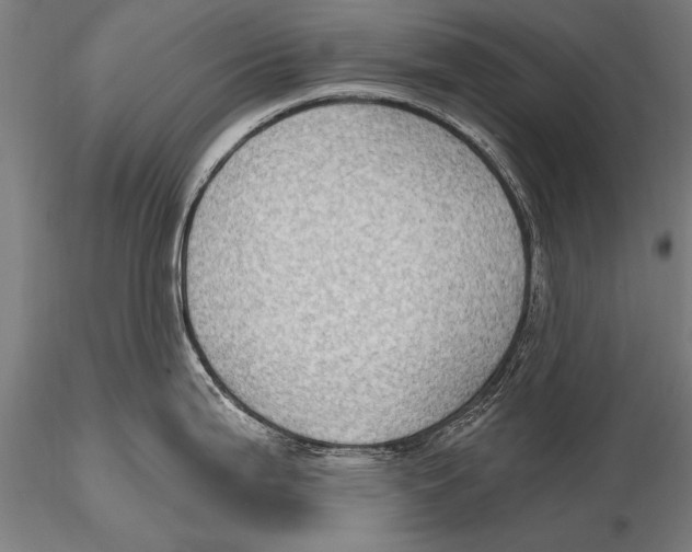 X0000115381199200912011158