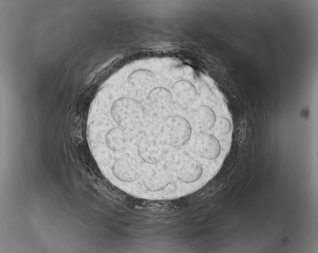 X0000115381205200912011157