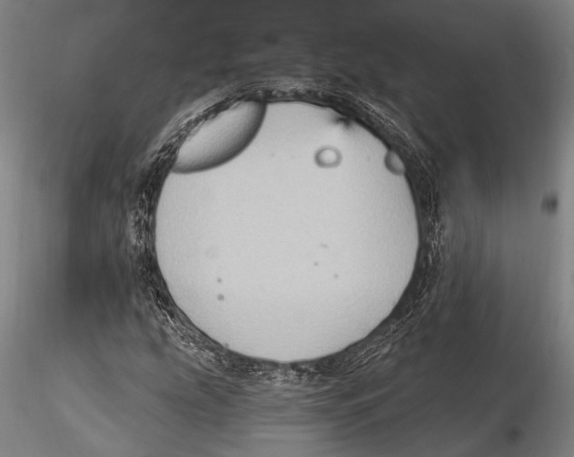 X0000115381207200912011157