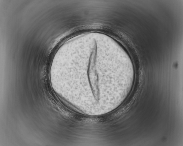 X0000115381210200912011157