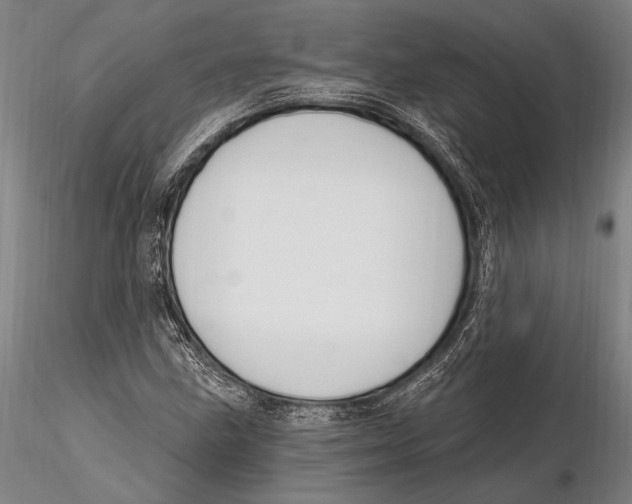 X0000115381211200912011157