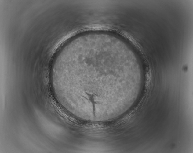 X0000115381213200912011157