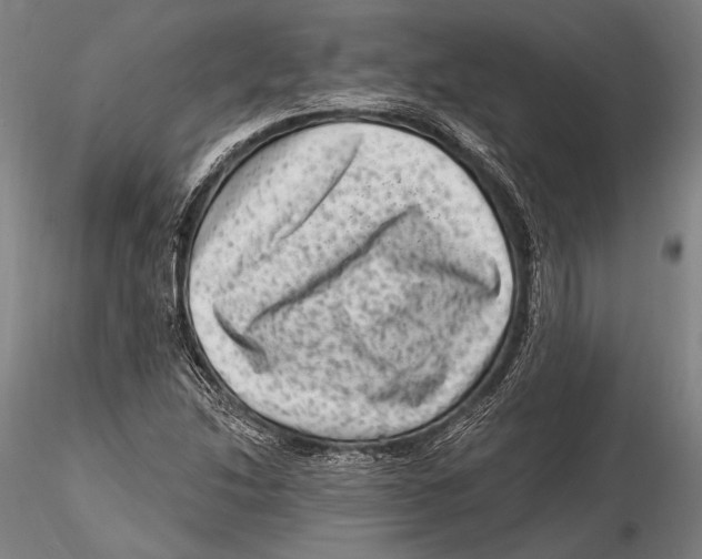 X0000115381214200912011157