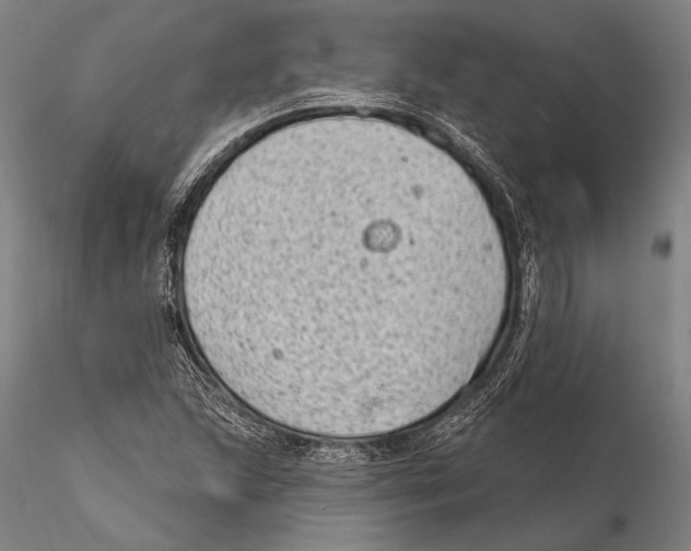 X0000115381215200912011157