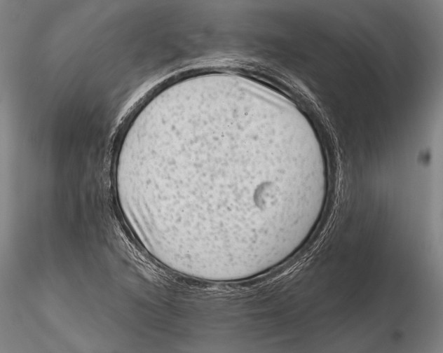 X0000115381216200912011157