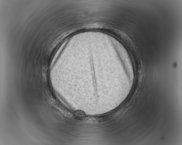 X0000115381217200912011157